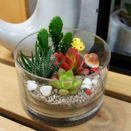 Lucky Bamboo Glass Plant Pot Cylindrical