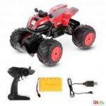 Remote Control Offroad Car for Kids