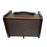 Aga Soundwaves Sw-40 Acoustic Guitar Amplifier Dual Input