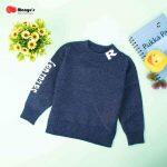 Baby/Toddler R Print Warm Knit Sweater - Shady Blue