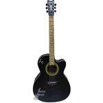 Beginner Guitar Semi Acoustic Cutaway Guitar FREE Bag, Picks, String Set