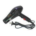 Borren Br-2031 Professional Hair Dryer(3000 Watt)