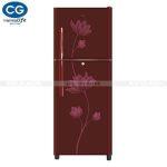 CG Refrigerator 230 L - CGD250P2.RM