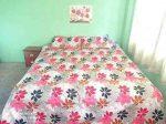 King Size Printed Bedsheet With 2 Pillowcovers