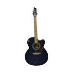 Pleasure Matte Blue Venus Guitar With Free Guitar Bag And Guitar Picks