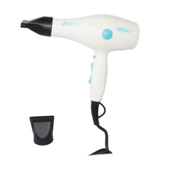 Professional Hair Care Hair Dryer