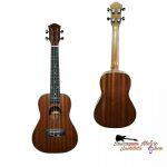 Punch ukulele 24 inch concert