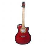 Signature  Pink Guitar