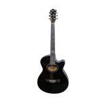 Tagima Dallas Glossy Semi Acoustic Guitar