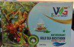 Willim Group Antioxidant Gold Sea Buckthorn Organic Leaf Tea 100g