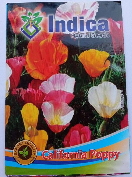 1 Packet California Poppy Flower Seeds 100 Plus Seeds