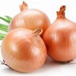 1 packet Indica Onion Improved Gavran