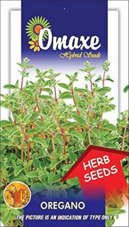 1 Packet Omaxe Oregano Herb Seeds Pack