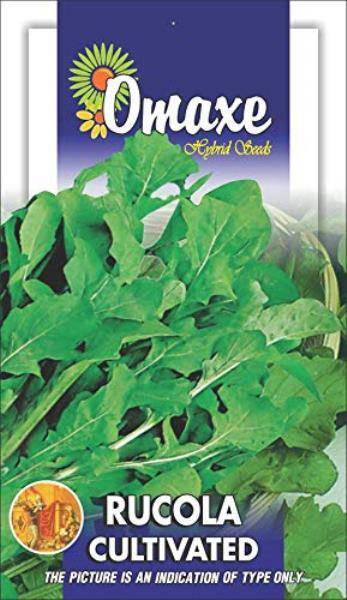 1 Packet Omaxe Seeds Rocket Rucola Arugula Cultivated Imported Exotic Seeds Kitchen Garden Packet