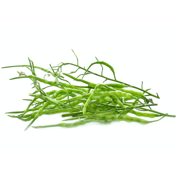 1 Packet Singra Seeds - Vegetable Seeds