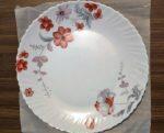 6Pcs  Borosil Opalware Dinner Plate (10.5 inch)
