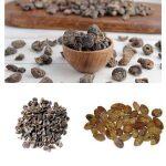 Aru Baru Keru / Unpowdered 3kg / Triphala Raw