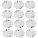 Bhanda Kunda Diva Ceramic Dinner Plates - Set Of 12