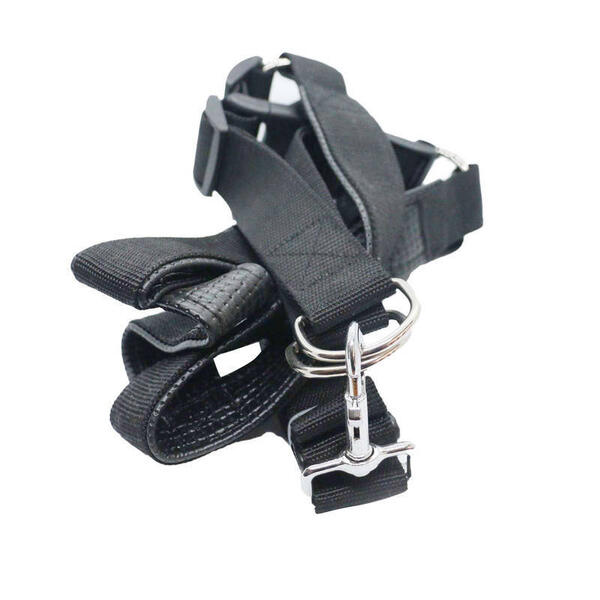 Black Padding Body Belt For Large Size Dog