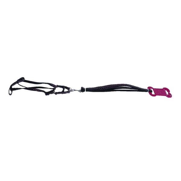 Black Polka Design Small Nylon Harness Leash For Puppy