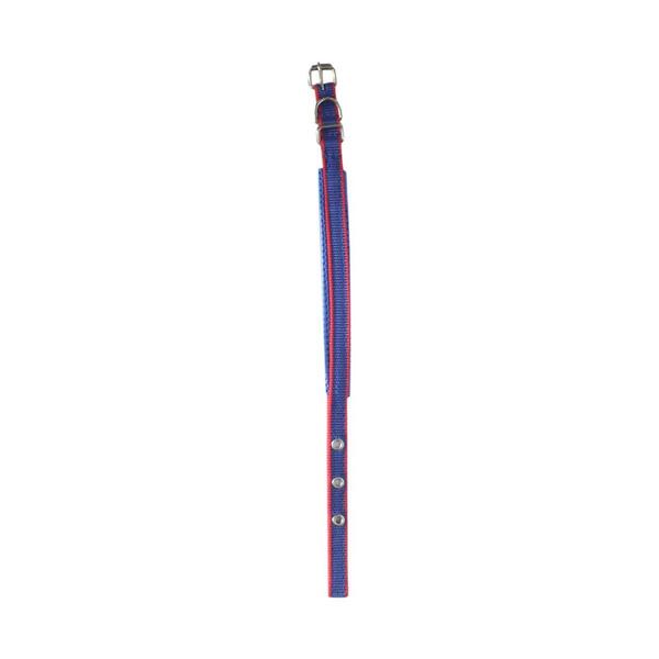 Blue Neck Belt Small Size For Dog