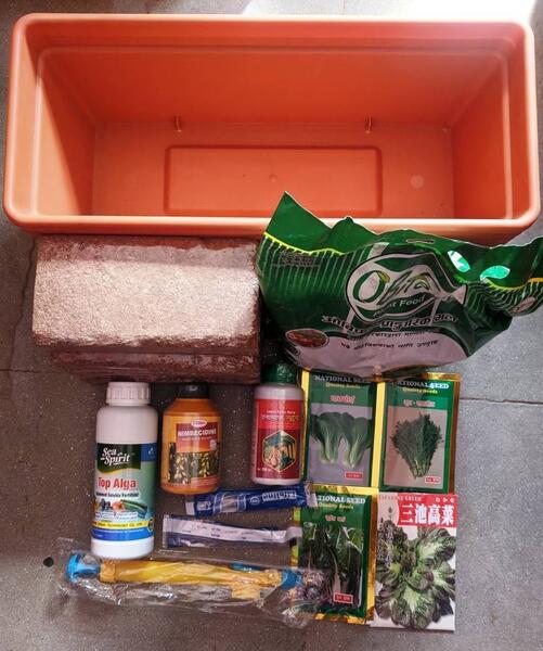 Bumper Offer: Kitchen Garden Start-up kits
