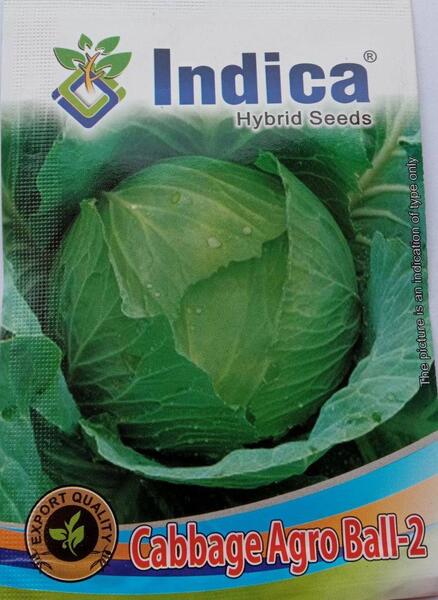Cabbage Seeds Agro Ball