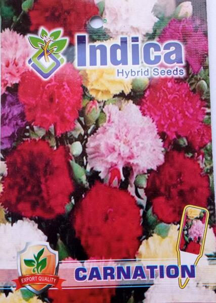 Carnation Flower Seeds 50 Plus Mixed Seeds
