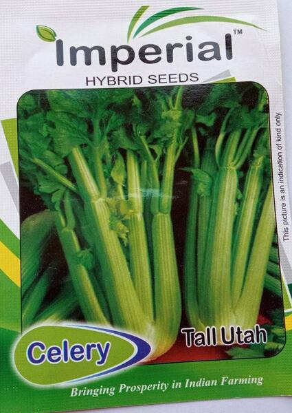 Celery Seeds Tall Utah