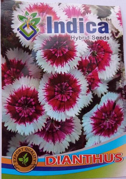 Dianthus Flower Seeds