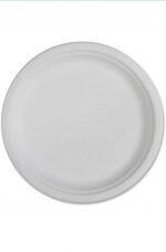 Disposable Plastic Plates For Event Birthday and Party