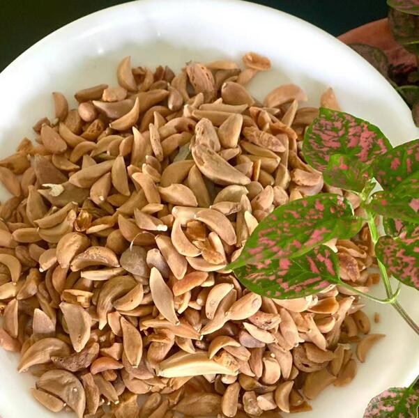 Dried Garlic 500 gm Packet