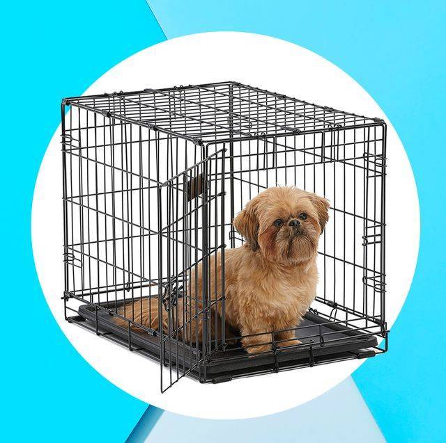 Folding Metal Pet Cage for Dogs - Medium Size