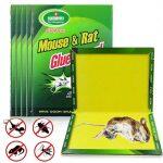 Killer Kill Mouse Rat Cockroach Glue Board Trap