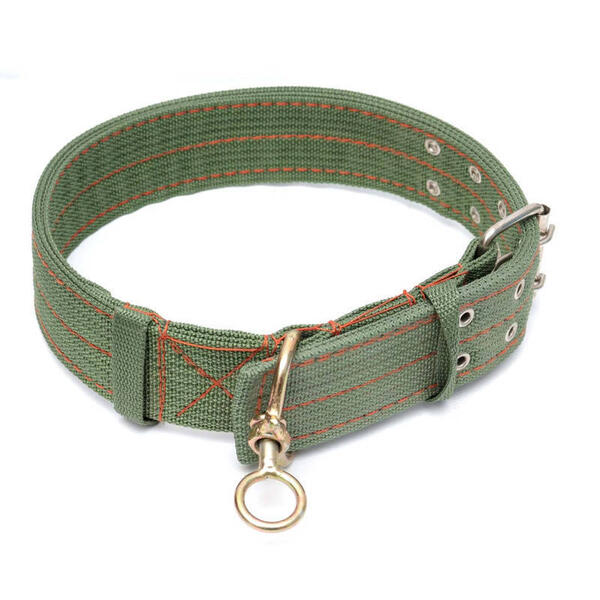 Green Neck Belt For Pet