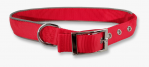 High Grade Dog/ Puppy Collar Belt