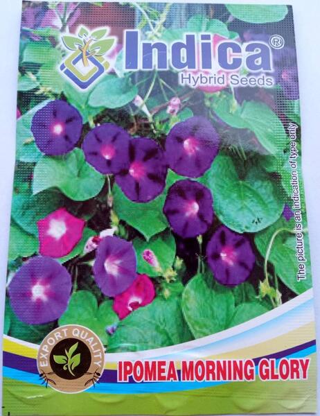 Ipomea Morning Glory Flower Seeds 1 Packet