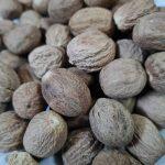 Jaiphal nutmeg-200gm
