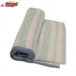 Light Aqua Green/White Cotton Bath Towel – Large