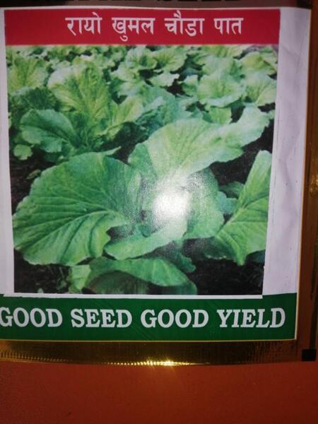 Mustard Seed 10 Gram Pkt of 3 Pkts