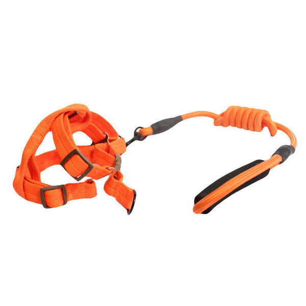 Orange/Black Adjustable Size Puppy Dog and Cat Harness