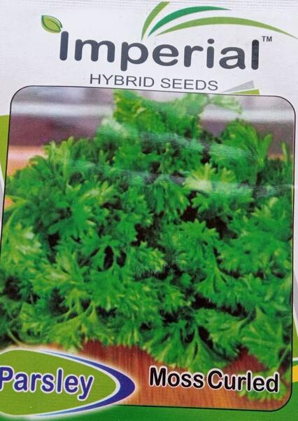 Parsley Moss Curled Seeds