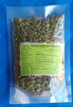 Pumpkin Seed
