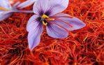 Pure Iranian Saffron