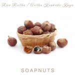 Soapnuts Dry (Ritha)