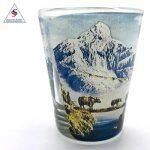 Transparent Printed Shot Glass Nepal Art