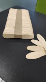 Wooden Disposable Ice Cream Spoon  for Home, Party, Art and Craft Use (200 pcs ) 75MM Flat