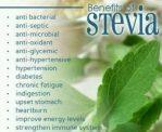 1 kg Stevia Powder 100% Natural Sweetener - Zero Calorie Sugar Free /स्टेभिया पाउडर १००% प्राकृतिक स्वीटनर - शून्य क्यालोरी चिनी नि: शुल्क