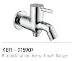 2 in 1 Bib Cock with Wall Flange