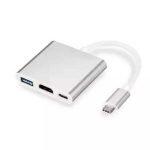 2-in-1 USB Type C to HDMI VGA Adapter